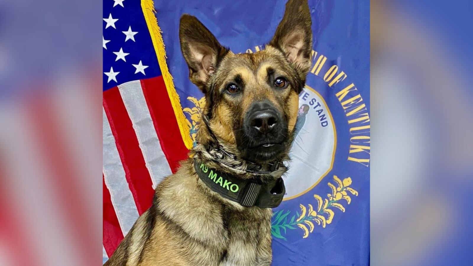 Floyd Co. Sheriff’s Office K9 set to receive body armor donation