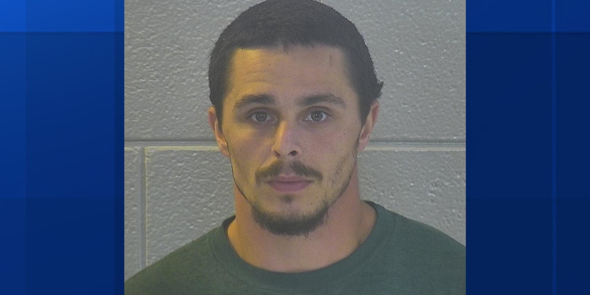 Somerset man charged with rape, sodomy
