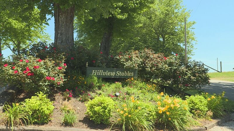 Hillview Riding Stables Hillview Stables opens for spring and summer fun
