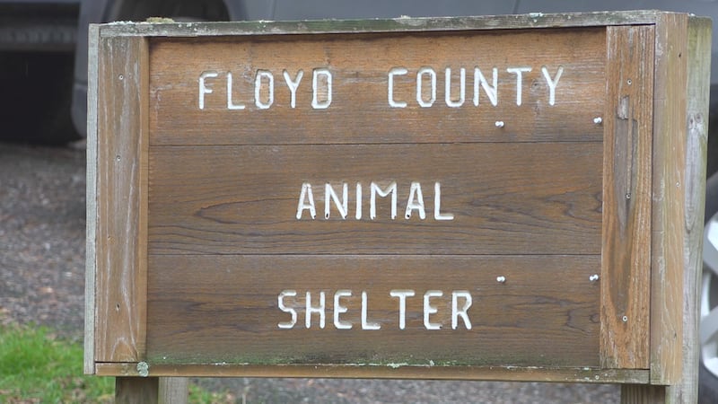 Shelter leaders denied the allegations, claiming they did their own investigation into the...