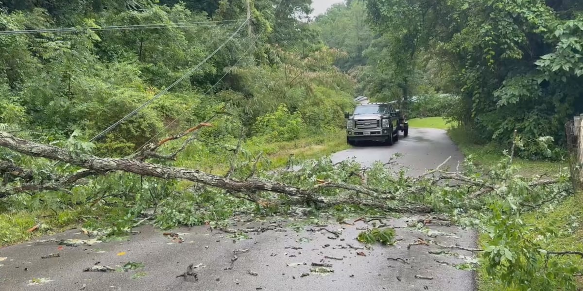 Severe weather causes downed trees, power outages in Pike Co.