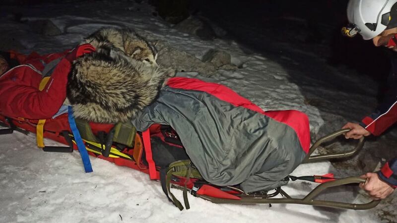 Dog protected owner from freezing on snowy mountain in Croatia, rescuers say