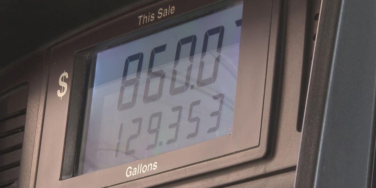 Diesel Prices Hit Record Highs, Squeezing Trucking Costs Nationwide