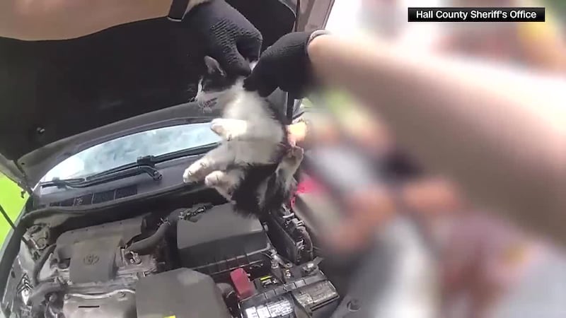 A Georgia deputy saved a kitten from an engine with a chicken drumstick as bait. (Source: CNN...