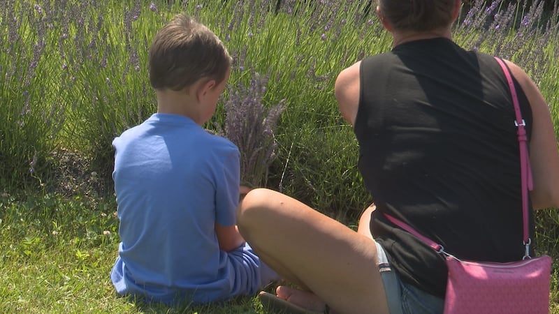 The Hopenhagen Lavender Festival is under way Saturday.